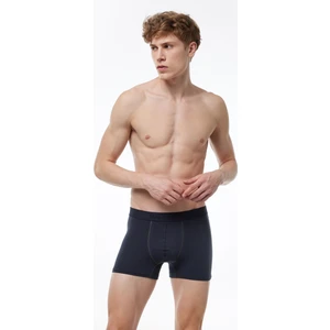 Erkek Füme Milan Modal Boxer 014