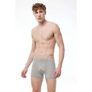 Erkek Gri Modal Likralı Boxer 058