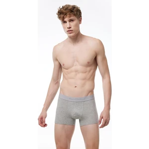 Erkek Grimelanj Modal Kısa Boxer 011