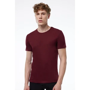 Erkek Bordo Basic Yuvarlak Yaka İnce Modal Tişört 084