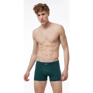 Erkek Yeşil Pamuk Elastan Boxer 074