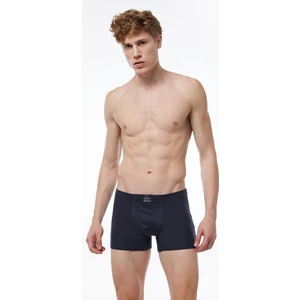 Erkek Füme Pamuk Elastan Boxer 074