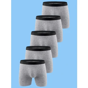 Erkek Çocuk Pamuklu Boxer 5 Adet