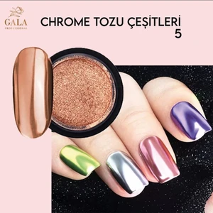 Gala Professi̇onal Gala Krom Toz No:5