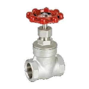 Paslanmaz Şiber Vana Dişli (304)