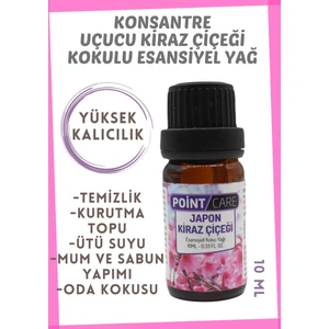 Point Care Kiraz Esansiyel Uçucu Buhurdanlık Kurutma Topu Yağı Difüzör Kokusu