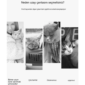 Qıchu Moda Şeffaf Kedi Çantası Tote Omuz Nefes Köpek Outing Omuz Crossbody Çanta Katlanabilir Çok Kullanımlı Pet Çanta (Yurt Dışından)