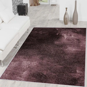 Rovigo Home Dijital Baskı Yıkanabilir Kaymaz Taban Salon Halısı Rvg1467