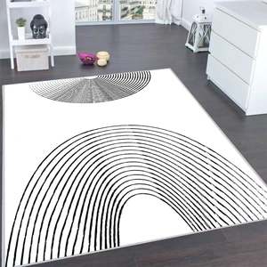 Rovigo Home Dijital Baskı Yıkanabilir Kaymaz Taban Salon Halısı Rvg0125-Sd903