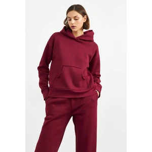 Stella Pulvis Bordo Kapüşonlu Sweatshirt