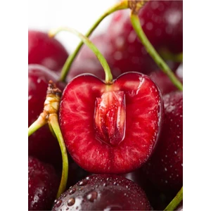 Doğa Fidancılık ( 3 Adet ) Aşılı Kütahya Vişne Fidanı 3 Yaş