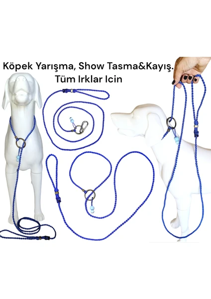 Vslt Handmade köpek Yarışma Kayışı,köpek Boğma Kayış,köpek Eğitim Kayışı,dog Show Leash,dog Training Collar