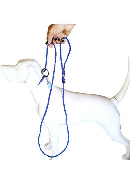 Vslt Handmade köpek Yarışma Kayışı,köpek Boğma Kayış,köpek Eğitim Kayışı,dog Show Leash,dog Training Collar