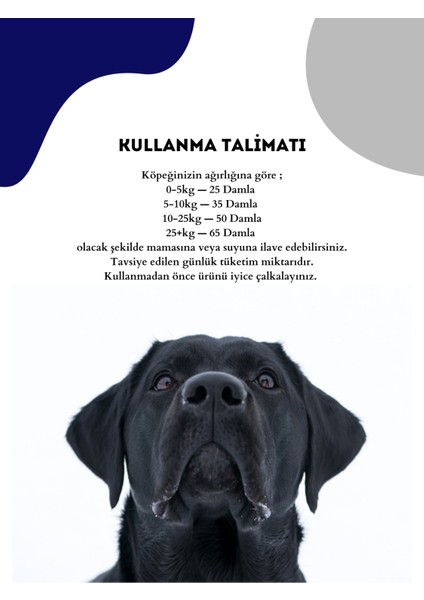 Forte Plus Dogs 100 ml Köpek Için Tüy Sağlığı - Tüy Dökülmesi Önleyici Damla