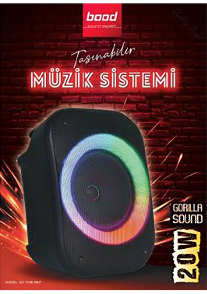 Taşınabilir Müzik Sistemi TMS-387