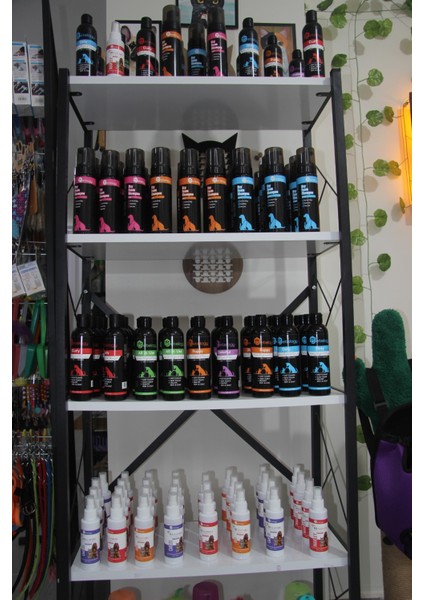 Dirty Nektari Parfümlü Pet Şampuanı 250 ml