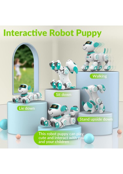 Programlanabilir Uzaktan Kumandalı Robot Köpek - Turkuaz