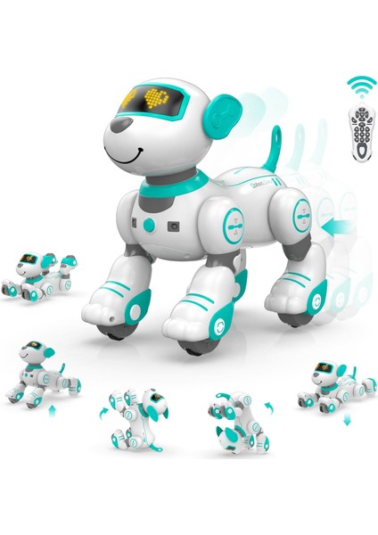 Programlanabilir Uzaktan Kumandalı Robot Köpek - Turkuaz
