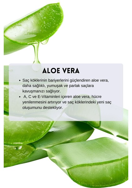 Yenileyici Etki Duş Jeli Aloe Vera Magnezyum 400 ml