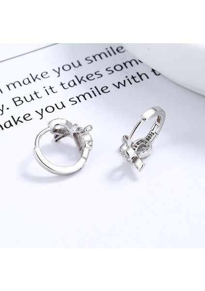 Fiyonk KÜPE,S925 Ayar Gümüş Sade Küpe (Yurt Dışından)