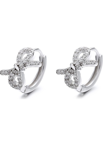 Fiyonk KÜPE,S925 Ayar Gümüş Sade Küpe (Yurt Dışından) fiyatları