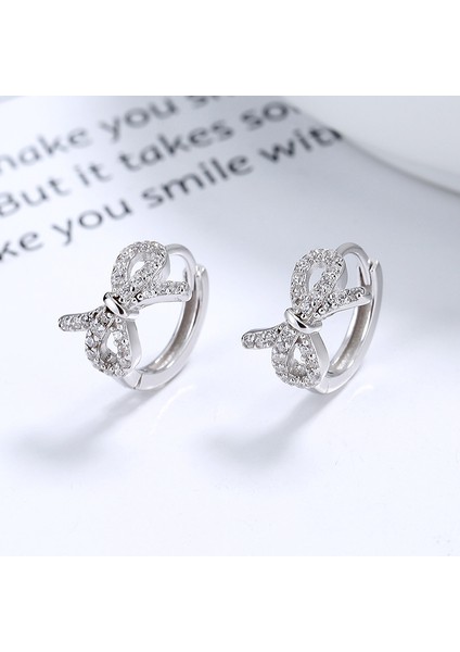 Fiyonk KÜPE,S925 Ayar Gümüş Sade Küpe (Yurt Dışından) modelleri