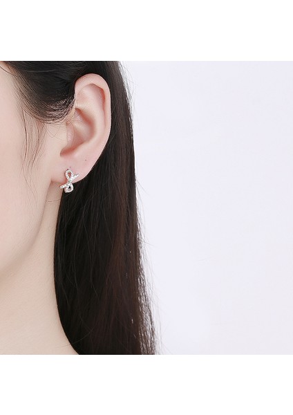 Fiyonk KÜPE,S925 Ayar Gümüş Sade Küpe (Yurt Dışından) fırsatları