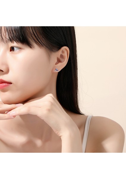 Gümüş Kadın Küpe, Zirkon Küpe (Yurt Dışından) fırsatları