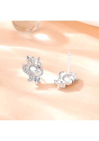 S925 Gümüş Küpeler, Zirkon Küpeler, Sade ve Şık (Yurt Dışından)