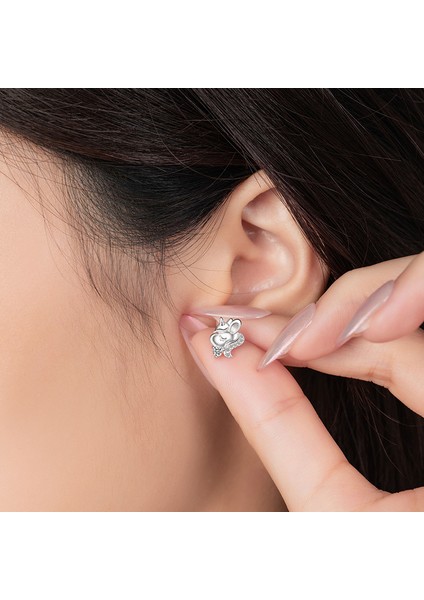 S925 Gümüş Küpeler, Zirkon Küpeler, Sade ve Şık (Yurt Dışından) fiyatları