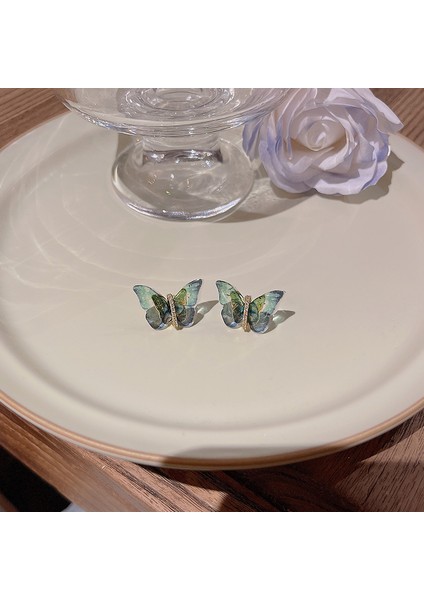 Renkli Kelebek Küpeler, Narin Moda Küpeler (Yurt Dışından)