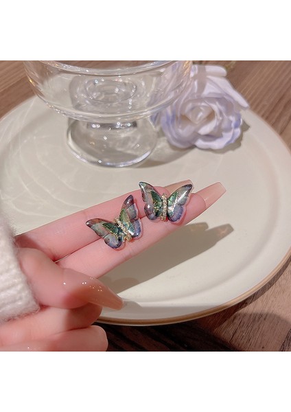 Renkli Kelebek Küpeler, Narin Moda Küpeler (Yurt Dışından) modelleri