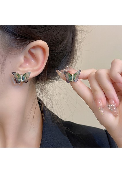 Renkli Kelebek Küpeler, Narin Moda Küpeler (Yurt Dışından) fırsatları