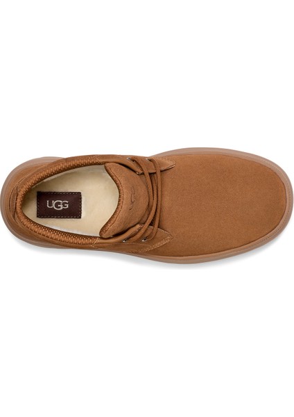 Erkek Bot 1151773 Ugg M Burleıgh Chukka Chestnut (Taba) indirimleri