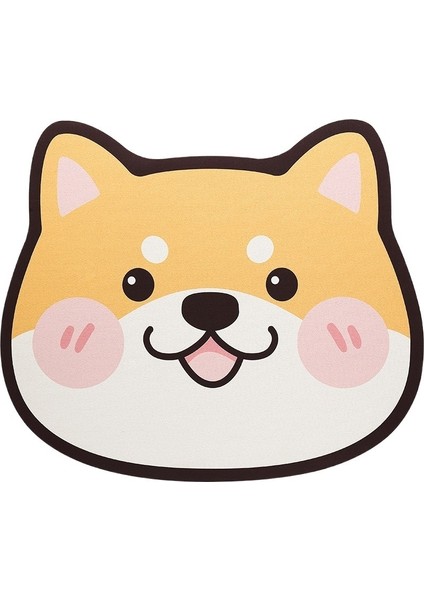 Banyo Emici Kaymaz Paspas (Yurt Dışından)