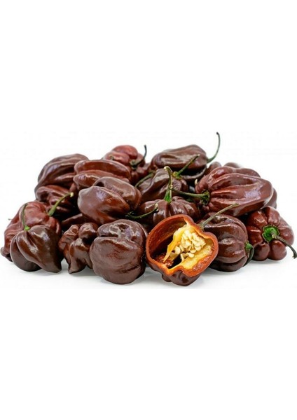 Çikolata Habanero Biber Tohumu Çok Acı Chocolate Habanero Capsicum Chinense