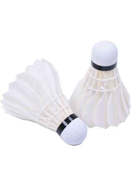 12 Badmintonluk Bir Tüp Sağlam ve Dayanıklı Badminton (Yurt Dışından)