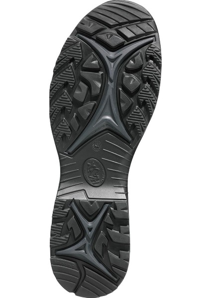 Black Eagle Athletıc 2.1 Gtx Low/black