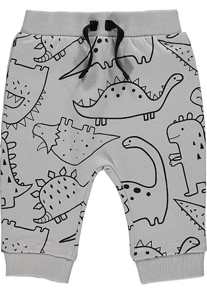 Dinozor Baskılı Erkek Çocuk Kapişonlu Fermuarlı Alt Üst Takım fiyatları