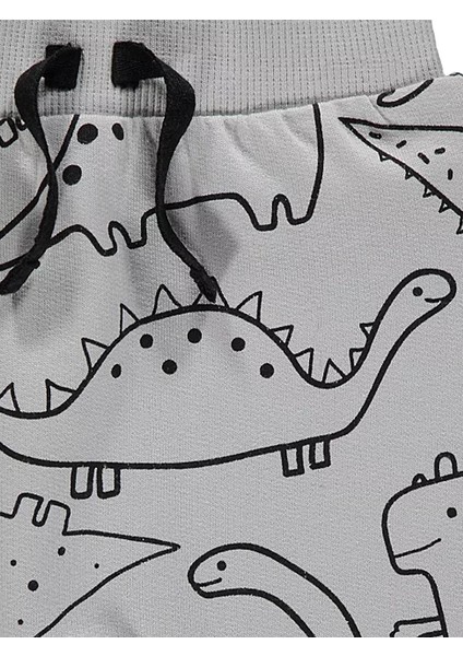 Dinozor Baskılı Erkek Çocuk Kapişonlu Fermuarlı Alt Üst Takım modelleri