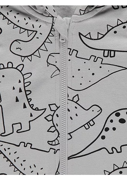 Dinozor Baskılı Erkek Çocuk Kapişonlu Fermuarlı Alt Üst Takım fırsatları