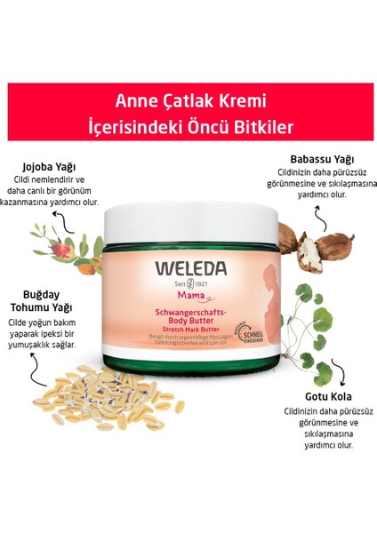 Çatlak Bakım Kremi 150 ml