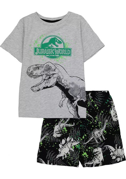 Jurrassic World Erkek Çocuk Şortlu Alt Üst Takım