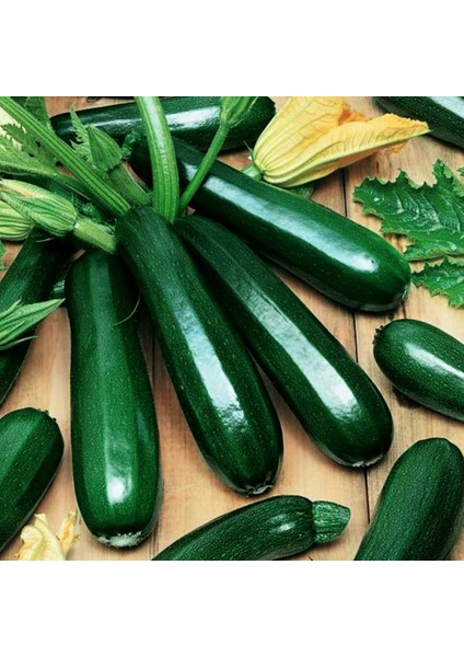 Yaz Kabağı Tohumu Geleneksel Black Beauty Summer Squash