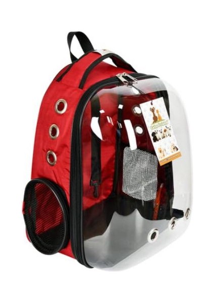 Kedi Taşıma fiyatları