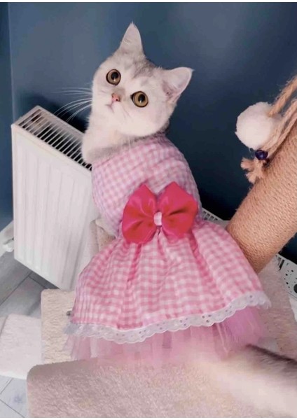Beyaz Kareli Pembe Dişi Kedi Köpek Kıyafeti Elbisesi XSmall/XS/beden 0
