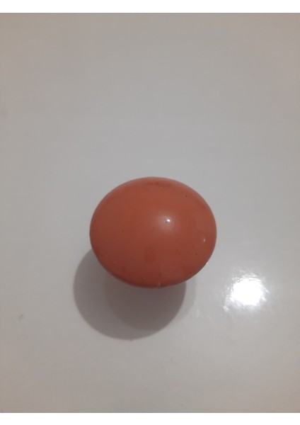 Altuntaş Parlak Kahverengi Tekli Plastik Kulp (10 Adet) S002