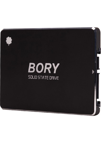 Dxt Bory R500 C256G Sata3 256 GB SSD 550 510 Mbs Harddisk