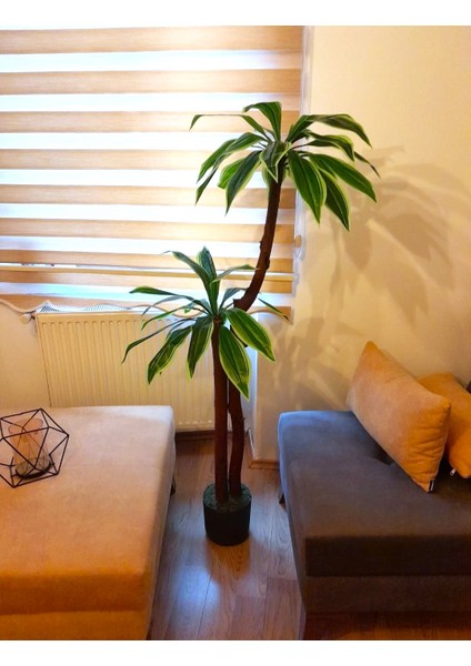 Yapay Yuka Ağacı Çift Gövdeli 1.60 Metre Boyunda Islak Doku Yucca Ağaç Çiçek