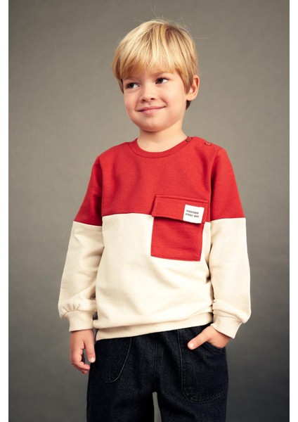 Erkek Bebek Bisiklet Yaka Renk Bloklu İçi Yumuşak Tüylü Sweatshirt A9753A523AU